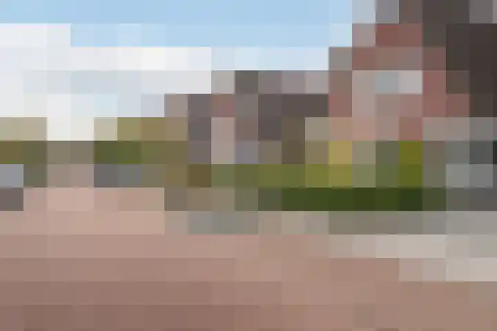 Het Lint 13 Tholen thumbnail 36