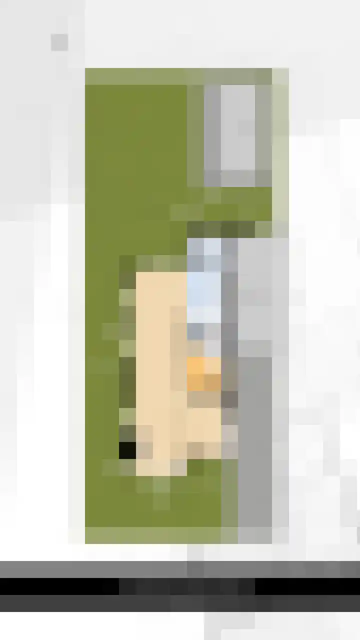 Het Lint 13 Tholen thumbnail 41