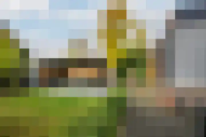 Het Lint 13 Tholen thumbnail 5