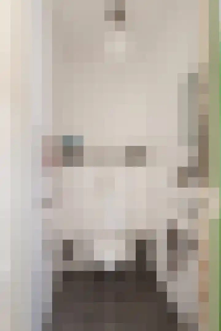 Het Lint 13 Tholen thumbnail 8