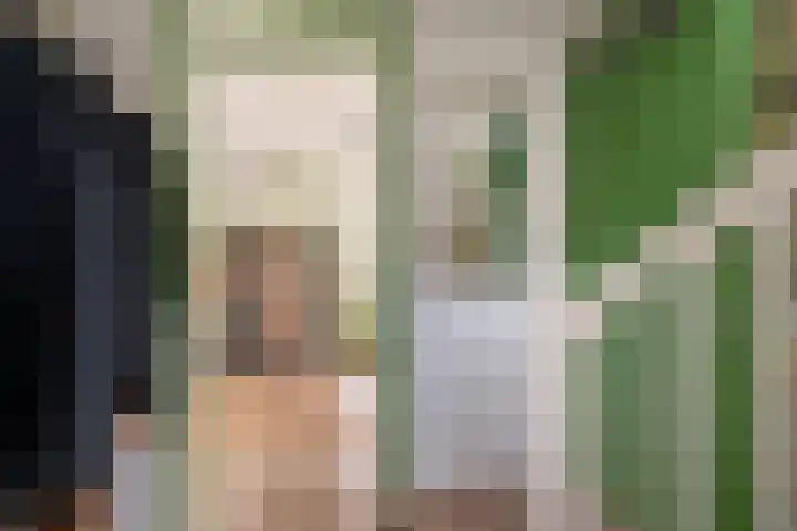 Het Lint 13 Tholen thumbnail 9