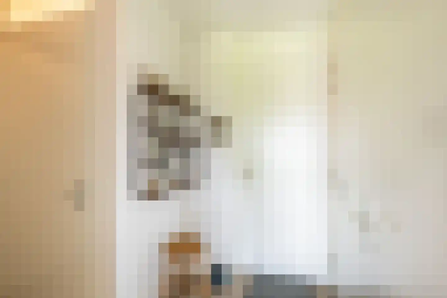 Het Lint 46 Tholen thumbnail 12