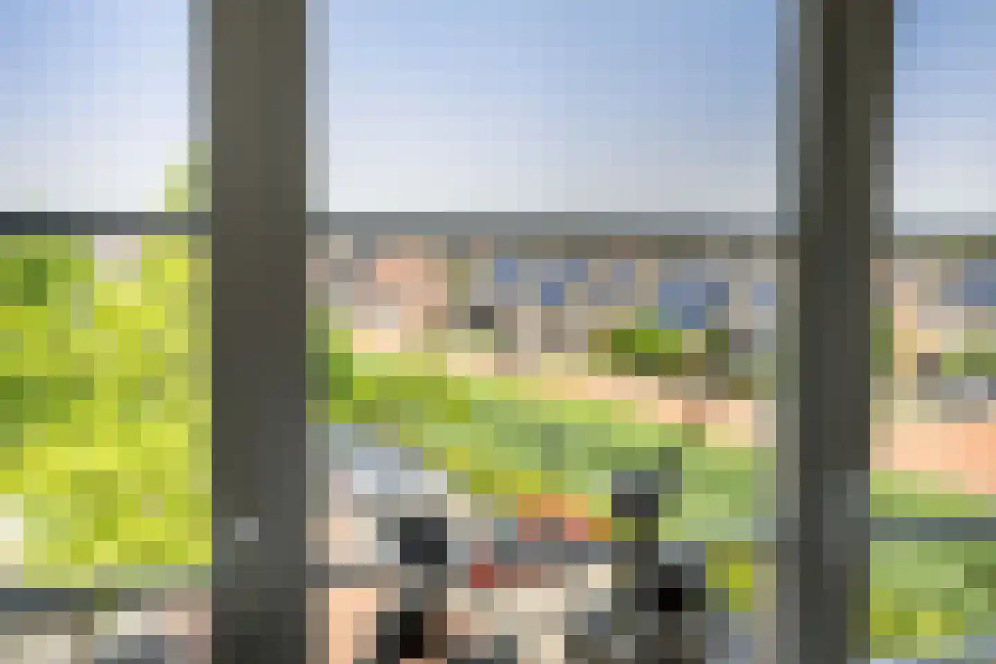 Het Lint 46 Tholen thumbnail 16