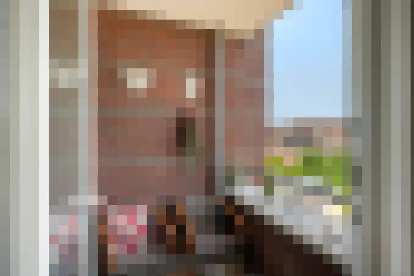 Het Lint 46 Tholen thumbnail 17
