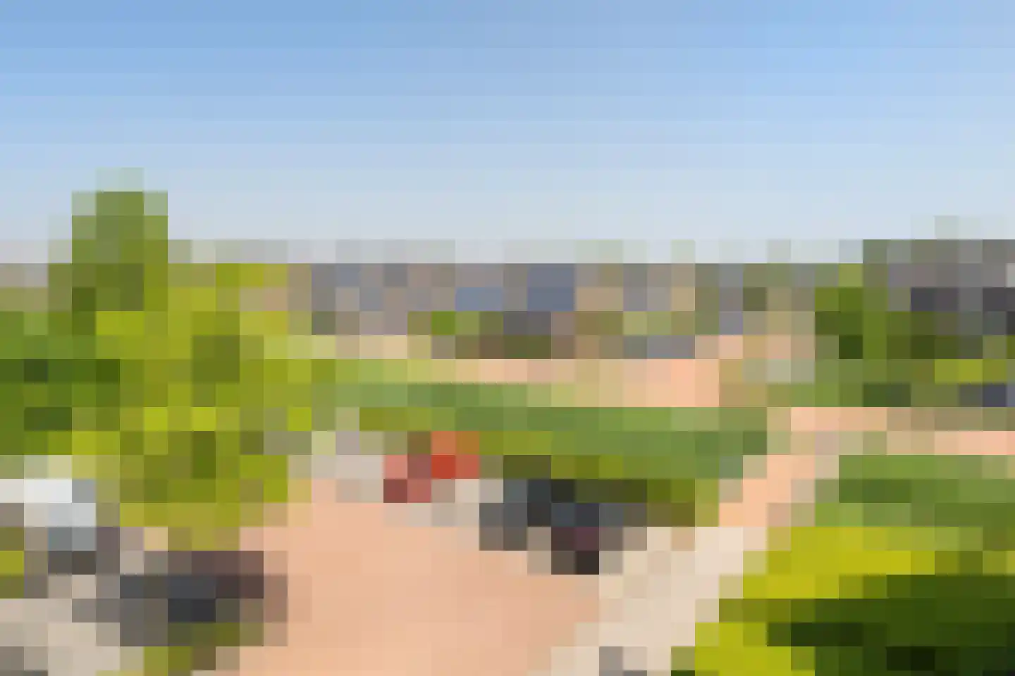 Het Lint 46 Tholen thumbnail 18