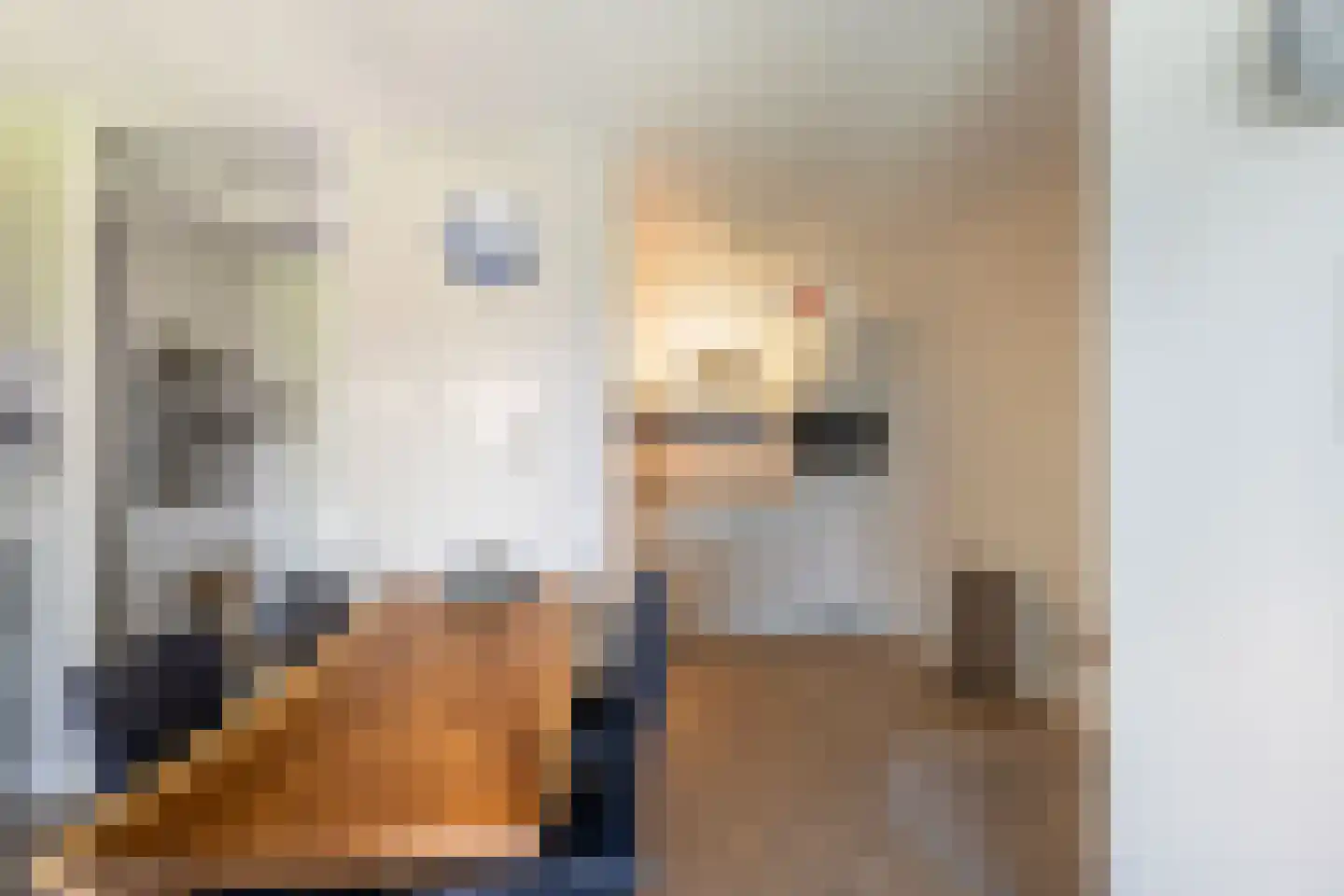 Het Lint 46 Tholen thumbnail 20