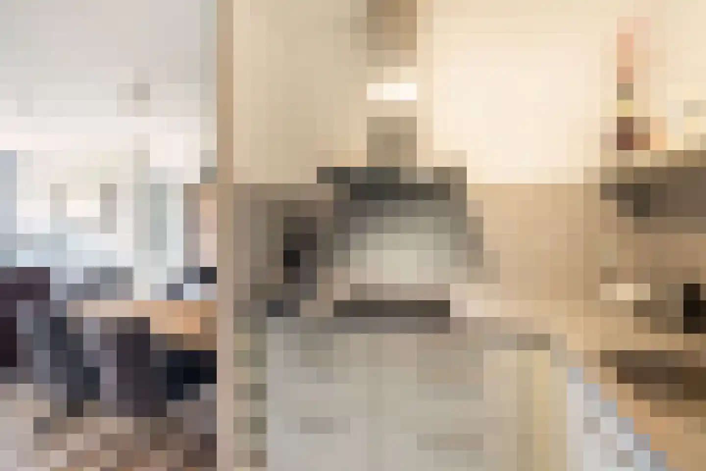 Het Lint 46 Tholen thumbnail 21