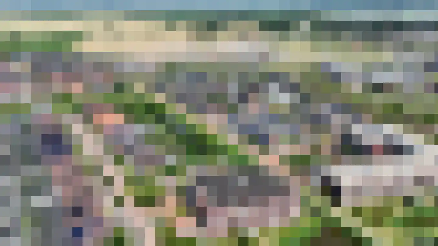 Het Lint 46 Tholen thumbnail 31