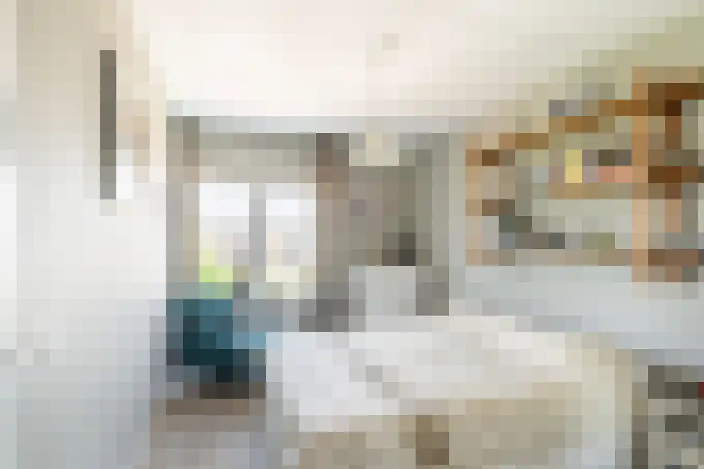 Het Lint 46 Tholen thumbnail 4