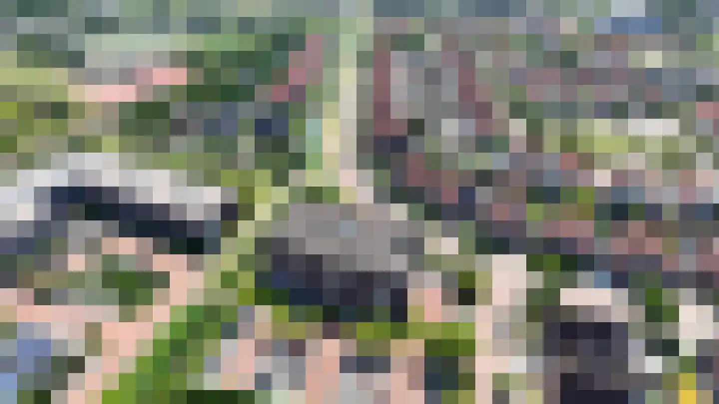 Het Lint 46 Tholen thumbnail 5