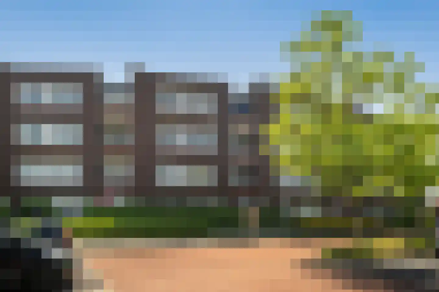 Het Lint 46 Tholen thumbnail 7