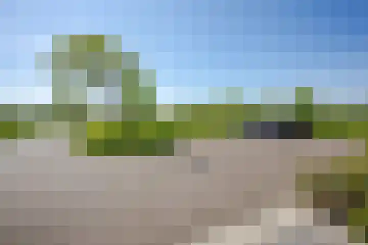 Het Lint 6 Voorschoten thumbnail 12