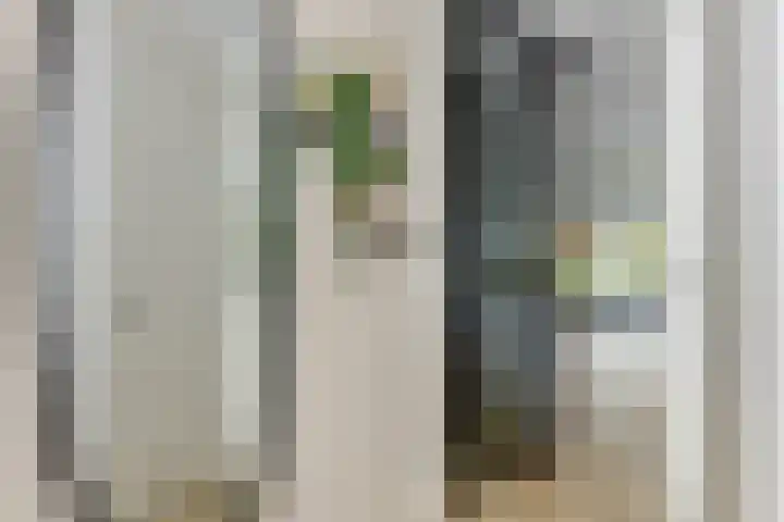 Het Lint 6 Voorschoten thumbnail 14