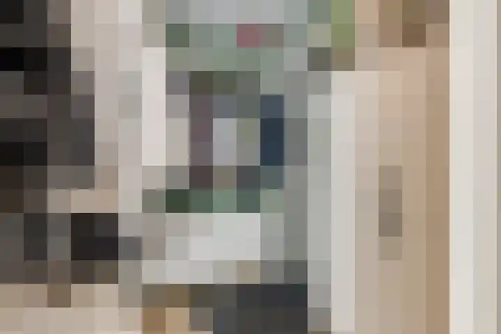 Het Lint 6 Voorschoten thumbnail 15