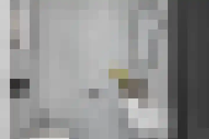 Het Lint 6 Voorschoten thumbnail 16