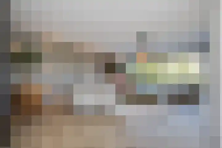 Het Lint 6 Voorschoten thumbnail 18