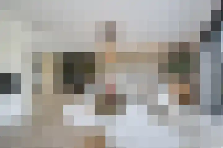 Het Lint 6 Voorschoten foto 2