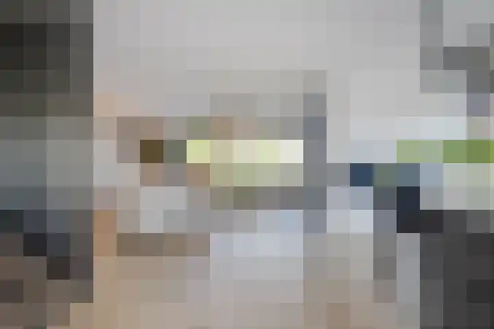 Het Lint 6 Voorschoten thumbnail 20