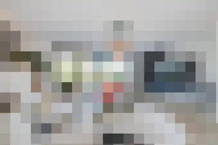 Het Lint 6 Voorschoten thumbnail 21