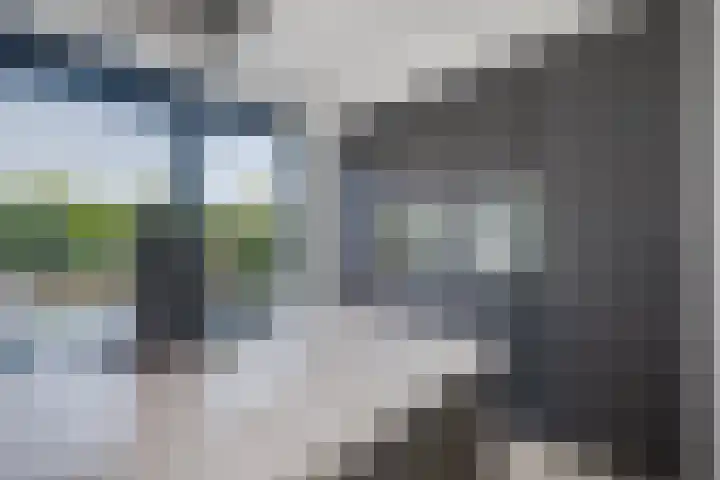 Het Lint 6 Voorschoten thumbnail 27