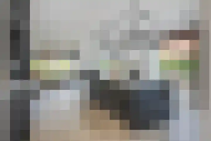 Het Lint 6 Voorschoten thumbnail 30