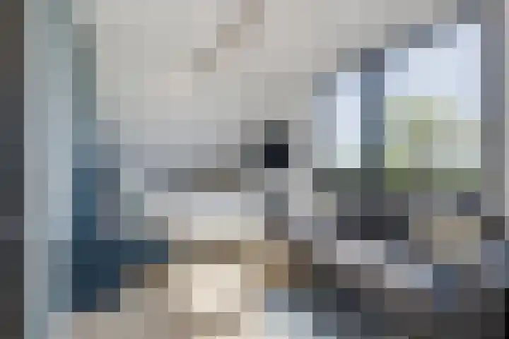 Het Lint 6 Voorschoten thumbnail 36