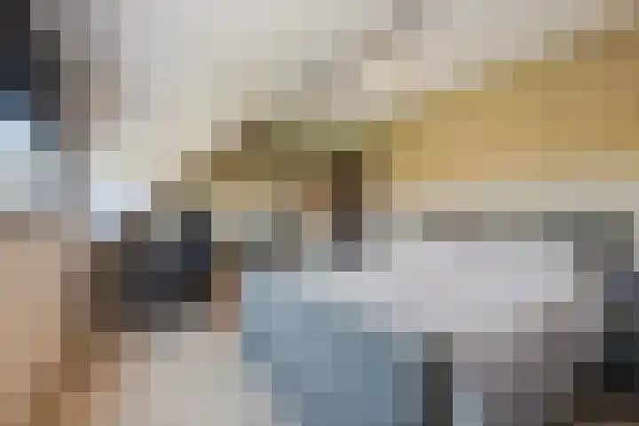 Het Lint 6 Voorschoten thumbnail 39