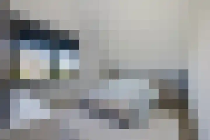 Het Lint 6 Voorschoten thumbnail 40