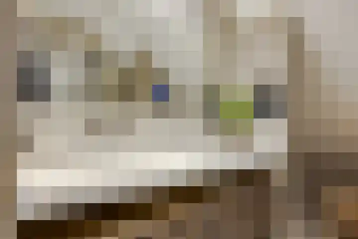 Het Lint 6 Voorschoten thumbnail 43