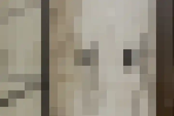 Het Lint 6 Voorschoten thumbnail 44