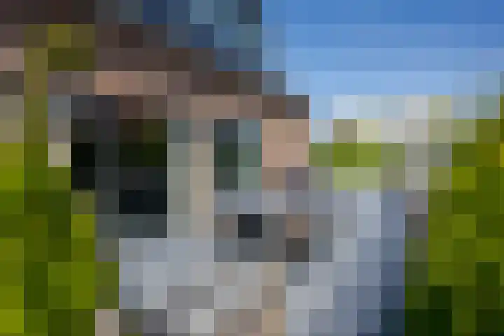 Het Lint 6 Voorschoten thumbnail 46