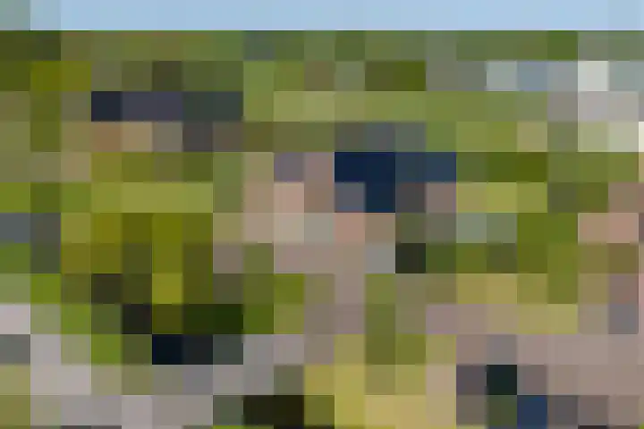 Het Lint 6 Voorschoten thumbnail 5