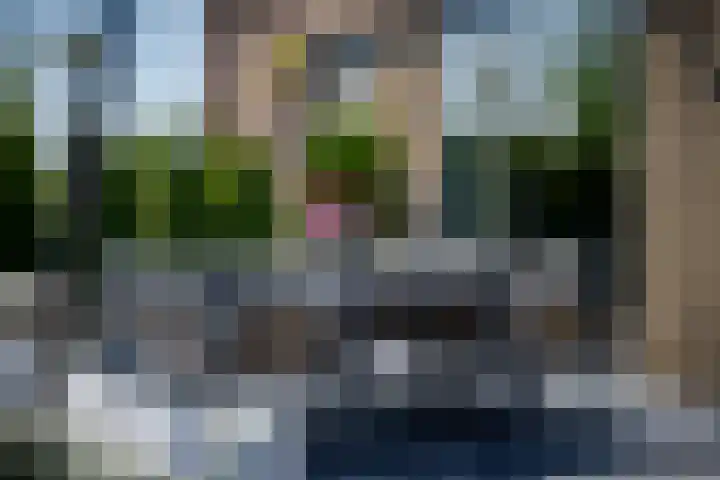 Het Lint 6 Voorschoten thumbnail 52
