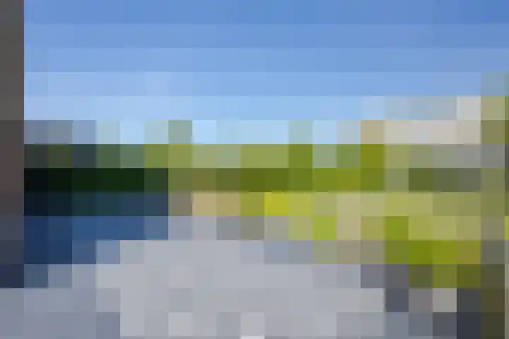 Het Lint 6 Voorschoten thumbnail 53