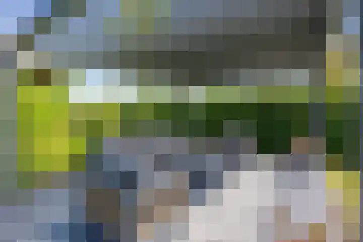 Het Lint 6 Voorschoten thumbnail 57
