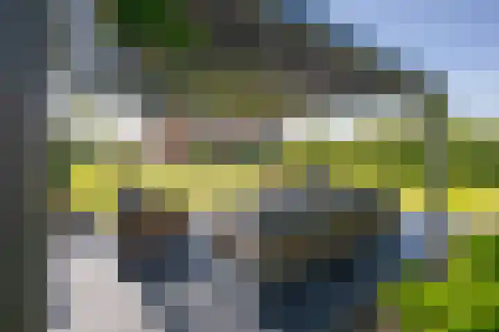 Het Lint 6 Voorschoten thumbnail 58