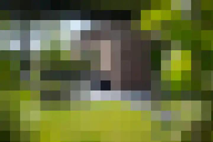 Het Lint 6 Voorschoten thumbnail 59