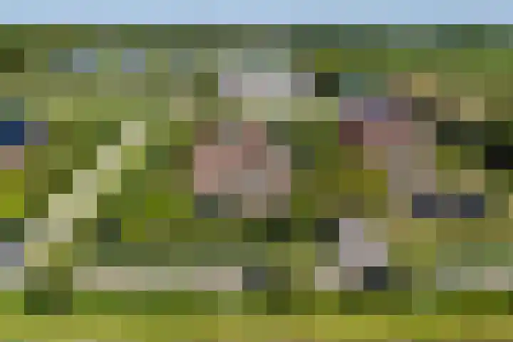 Het Lint 6 Voorschoten thumbnail 6