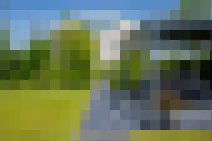 Het Lint 6 Voorschoten thumbnail 60