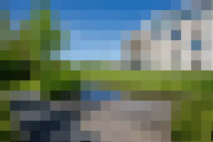 Het Lint 6 Voorschoten thumbnail 62