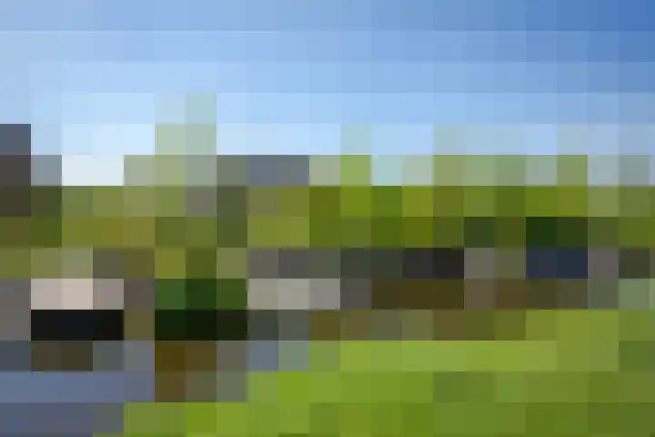 Het Lint 6 Voorschoten thumbnail 63
