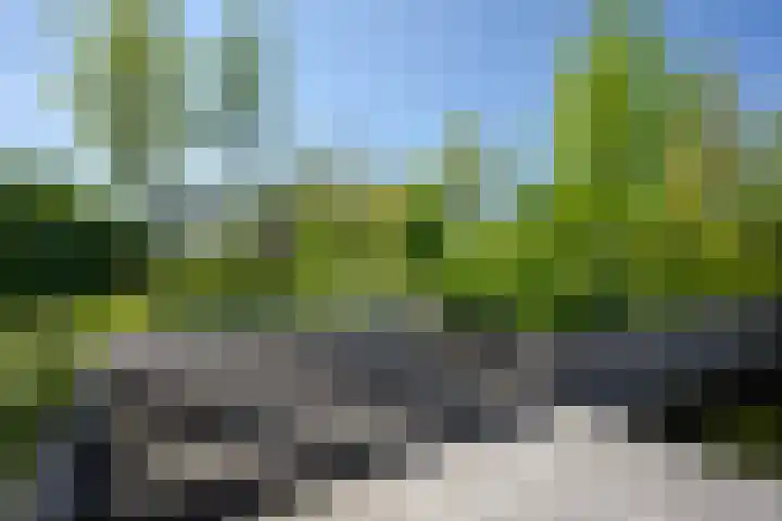 Het Lint 6 Voorschoten thumbnail 64