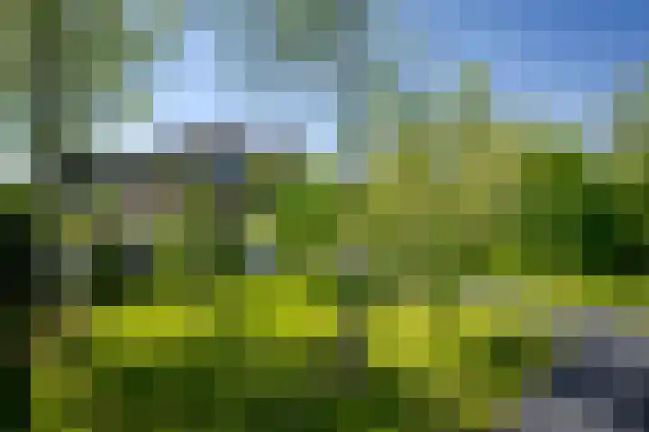 Het Lint 6 Voorschoten thumbnail 65
