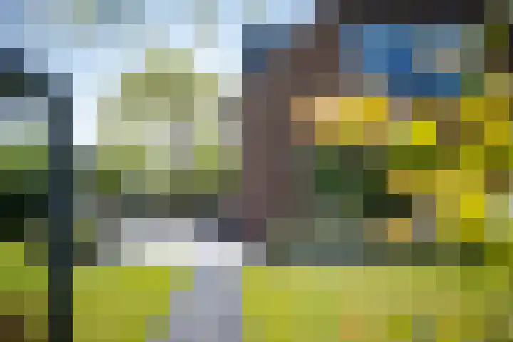 Het Lint 6 Voorschoten thumbnail 67