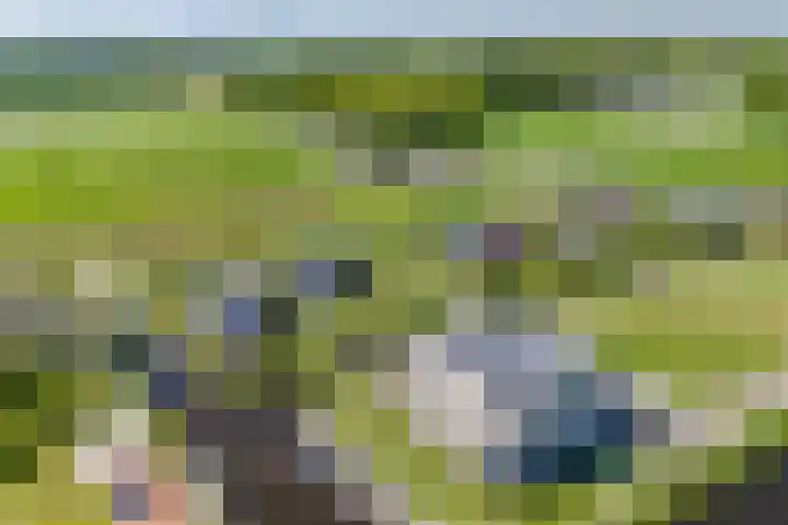 Het Lint 6 Voorschoten thumbnail 69