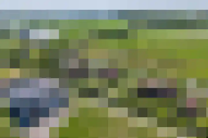 Het Lint 6 Voorschoten thumbnail 7