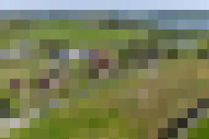 Het Lint 6 Voorschoten thumbnail 70