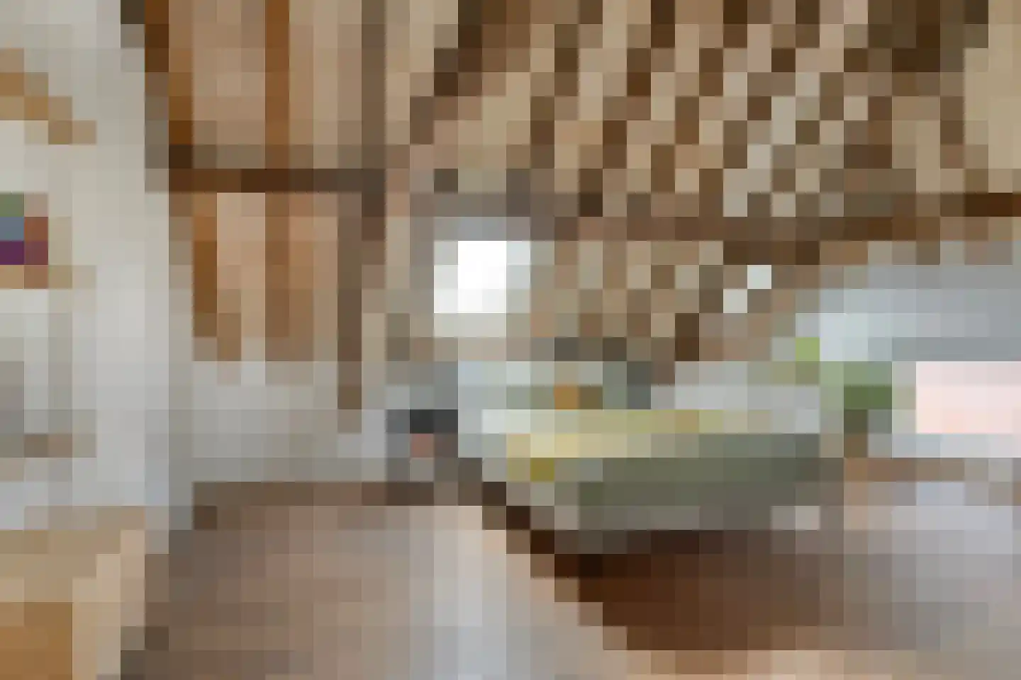 Het Loeg 21 Muntendam thumbnail 33