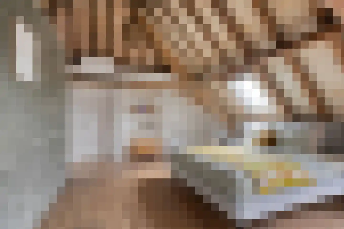 Het Loeg 21 Muntendam thumbnail 35