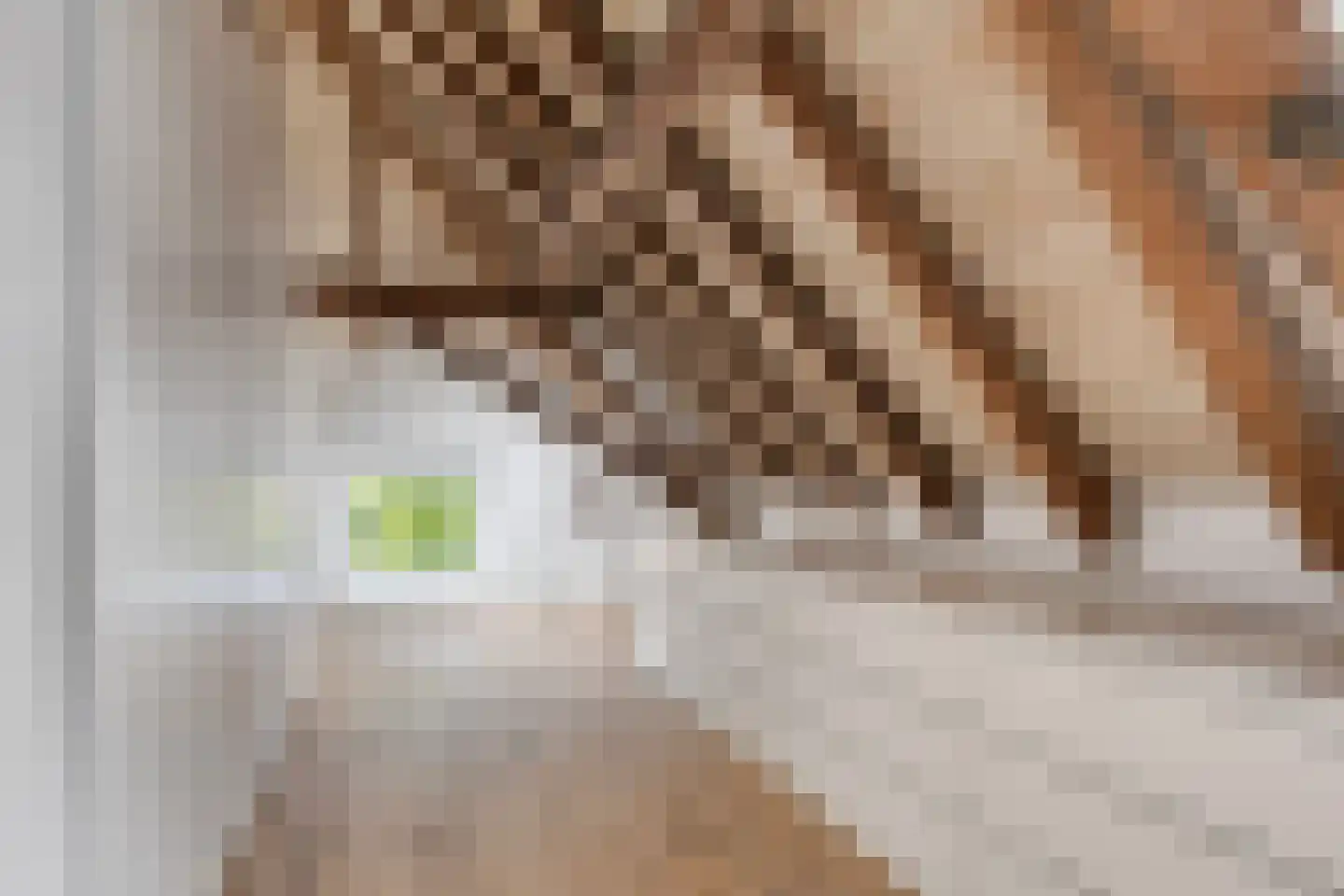 Het Loeg 21 Muntendam thumbnail 37